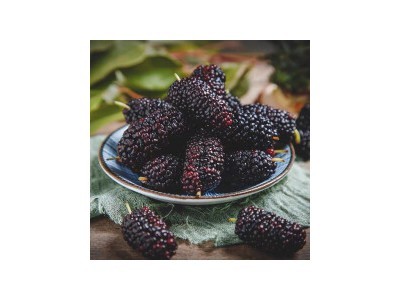 亳趣九华山黄精片500克精选大个黄精人参黄精牡蛎覆盆子九蒸九晒中药材实体店铺韭菜籽粉 桑葚大果100克