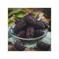 亳趣九华山黄精片500克精选大个黄精人参黄精牡蛎覆盆子九蒸九晒中药材实体店铺韭菜籽粉 桑葚大果100克