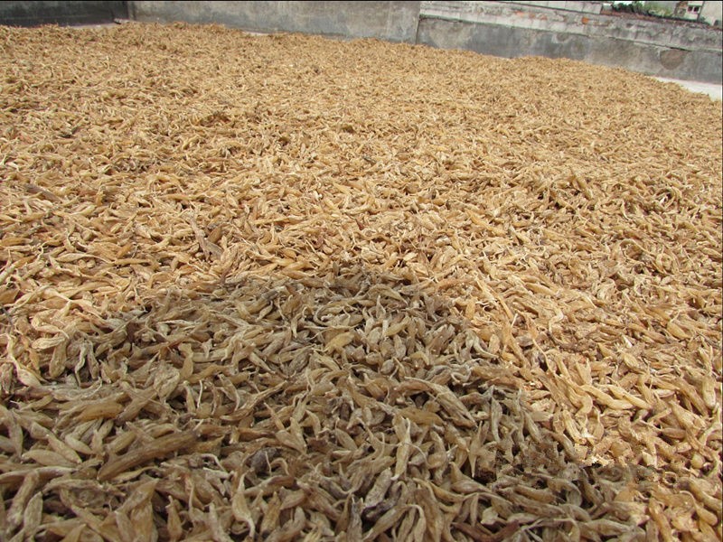 麦冬精品特级纯自然晾晒风干手工