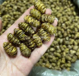 正宗铁皮石斛干条、铁皮石斛枫斗