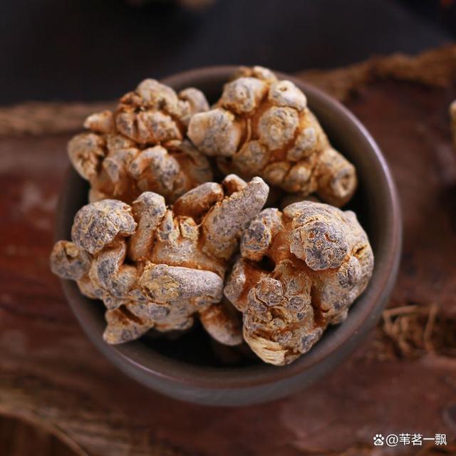 文三七 云南文山足干足头