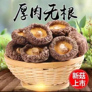 干货香菇500g 产地货源 干香菇